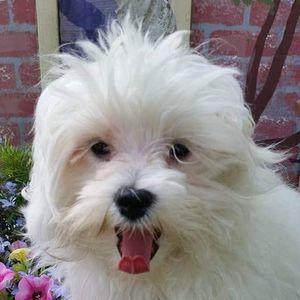 Meet your Posher, Tonya